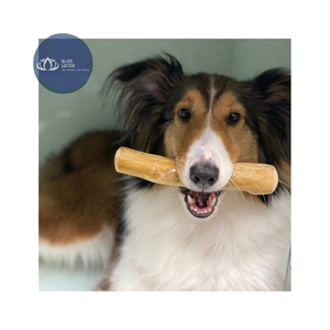 [HAUTE QUALITÉ] |   Jouet à mâcher durable en bois de café pour chien, vente en gros, bâtonnets de nettoyage dentaire sûrs pour animaux de compagnie, fournitures du Vietnam - Product Image 1
