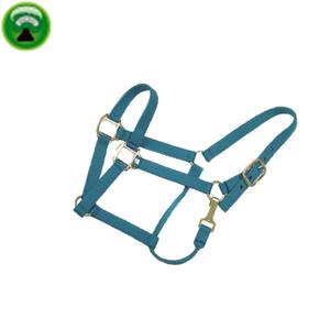 PP fantaisie coloré cheval licous pour un cheval - Product Image 1