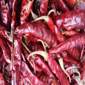 Piments rouges entiers indiens, nouvelle récolte, gousses de qualité supérieure pour des préparations authentiques de curry, des recettes traditionnelles et les marchés alimentaires mondiaux - Product Image 3