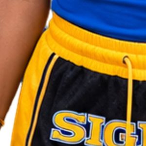 <b>Black</b> Embroidered Basketball Shorts Lightweight Breathable Athletic Mesh Sports Shorts Comfortable Training Wear Custom - Product Image 4