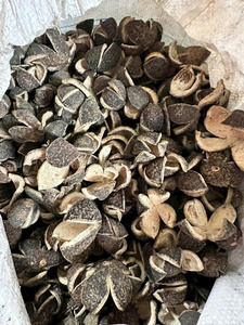 Écorces d'orange déshydratées pour thé, garniture de boissons, pâtisserie, écorces d'agrumes naturelles, fournisseur en gros, qualité alimentaire, export - Product Image 6