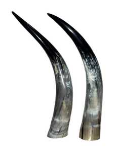 Par de Cuernos Largos de Vaca Auténtica, Decoración Rústica de Estilo Occidental para el Hogar, Cuernos de Búfalo Naturales Pulidos con Tacto Real y Forma Natural - Product Image 4