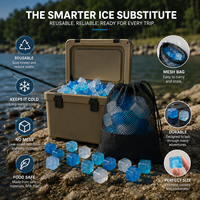Glaçons réutilisables en plastique de qualité alimentaire sans BPA, pierres à whisky, refroidisseurs de boissons, cubes réutilisables pour le refroidissement, vente en gros, logo personnalisé