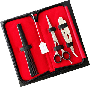 Ensemble de ciseaux de coiffure professionnels en acier inoxydable, kit de ciseaux à effiler pour salon de coiffure, pour droitiers, manche long en plastique - Product Image 4