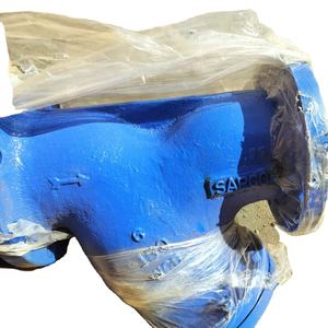 Filtre de type Y SAPCO de haute qualité -25 NB 4 pouces PN16 en fonte ductile avec bride et garantie d'un an - Product Image 3