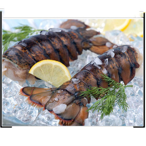 Best Price Live <b>Lobster</b> / <b>Lobster</b> Tails Wholesale For Export - Product Image 4