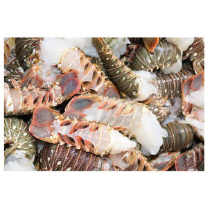 Homards entiers congelés pour expédition longue distance, stockage frigorifique et exportation internationale - Product Image 4