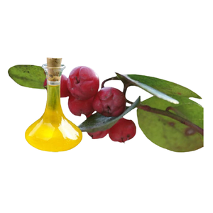 น้ำมันวินเทอร์กรีนออร์แกนิคแท้ 100% ใหม่ล่าสุด |   ได้รับการรับรองมาตรฐาน GMP |   กลั่นด้วยไอน้ำ |   การใช้งานอเนกประสงค์ |   ผู้ผลิตจำนวนมากจากอินเดีย - Product Image 1