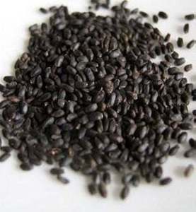 Semillas de Albahaca Negra Premium - Secas, Crudas, Sin OMG, Superalimento Vegano |   Suministro a Granel de Grado Alimenticio para la Industria Alimentaria 100% Natural de Alta Calidad - Product Image 5