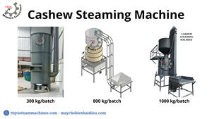 Système de cuisson à la vapeur de noix de cajou de haute capacité d'usine du Vietnam pour la production à grande échelle avec une grande capacité - Product Image 5