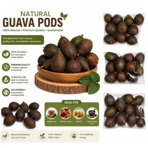 AQUA VRIKSHA Cápsulas de Guayaba Naturales para Acuarios, Peceras de Betta, Peceras de Camarones y Acuapaisajismo |   Paquete de 10 - Product Image 1