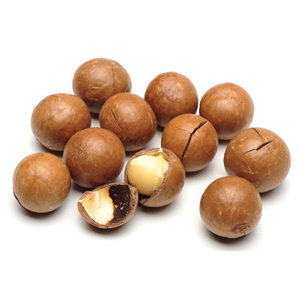 Proveedores de nueces macadamia crudas y secas al por mayor, precio de las nueces macadamia - Product Image 5