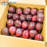 Top 1 Passievrucht-Vers Zure Zoete Smaak Tropisch Exotisch Fruit-Perfect Voor Dranken Passievrucht-Van Vietnam Fabriek