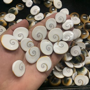 Cabochons en Coquille Œil de Shiva Naturelle de Qualité Supérieure, Coupe Ovale - Pierres Libres Certifiées IGI, Taille Unique, Collection en Gros pour la Fabrication de Bijoux - Product Image 5