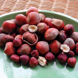 Avellanas/Nueces Orgánicas 100% Naturales, Tostadas y Secas a Bajo Precio, Procesamiento de Alimentos Crudos de Alta Calidad para Uso en Chocolate y Semillas - Product Image 5