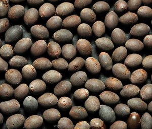 Proveedor a granel de semillas Nelumbo Nucifera - Product Image 3