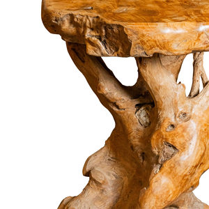 Table basse en teck rustique artisanale de style antique ARTERRA Premium Durable pour salon - Product Image 2