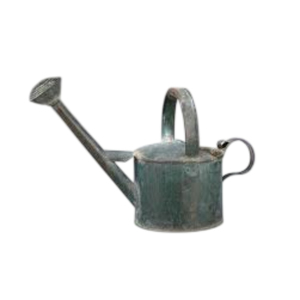 Arrosoir classique de designer en acier galvanisé vert avec rose en laiton pour plantes de jardin intérieures et extérieures – Meilleur prix - Product Image 6