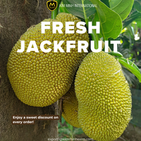 Natuurlijke verse jackfruit uit Vietnam _ Groothandelsleverancier voor importeurs & groothandels