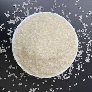 Riz à sushi SunRice Premium, riz japonica à grains courts, texture collante parfaite pour les sushis et les sashimis, cuisine japonaise authentique - Product Image 5