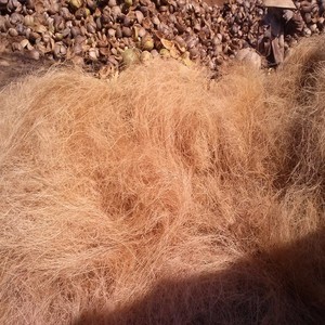 Premium Vietnamese Coconut Fiber – Natural Eco-Friendly Material for Agriculture, Mattresses & Handicrafts - Product Image 4