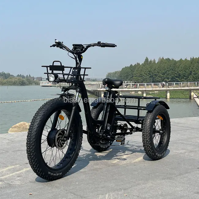 أفضل بطارية الليثيوم بالطاقة دواسة مساعدة الدهون الإطارات دراجة كهربائية ثلاثية العجلات دراجة ثلاثية العجلات للمسنين