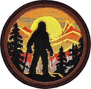 Latest Arrival New Design new Design sustainable soft style Embroidered Patches Factory Made Premium Quality Embroidered Patches - Product Image 4