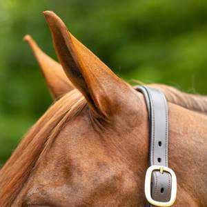 Cabestro de Cuero Premium para Caballo, Estilo Western, Cómodo, con Narizera Acolchada, Construcción Resistente, Logotipo y Color Personalizables para Uso Diario - Product Image 2