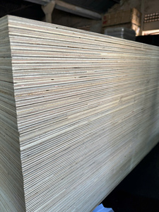 Contrachapado de abedul 4x8 de fábrica vietnamita, grado D/DD, certificado E0 E1 CARB P2 para fabricación de muebles y paneles interiores - Product Image 4