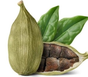 Cardamome verte de qualité export, gousses de 6-7 mm, petite taille, aromatique naturelle premium, épice entière, fournisseur en gros - Product Image 6