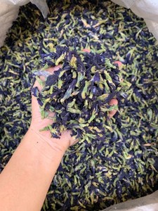 Flor de Guisante Mariposa al MEJOR Precio |   Té Azul Orgánico Seco |   Suministro al por Mayor - Product Image 2