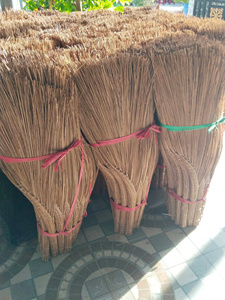 Bâtonnets de noix de coco séchés fabriqués au Vietnam |   Matériel de fabrication de balais naturels de qualité supérieure |   Bâtonnets de feuilles de noix de coco séchées naturelles - Product Image 3
