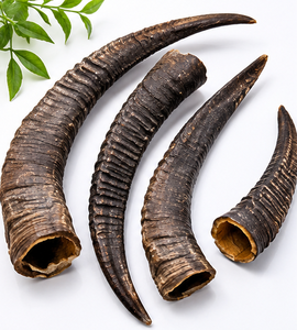 Arco de Caza Tradicional de Cuerno de Búfalo Indio, Calidad de Exportación, Natural, Crudo, Resistente al Agua, Duradero, Compuesto - Product Image 5