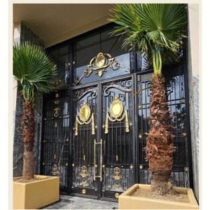 Puerta de Hierro Forjado de Lujo con Paneles de Vidrio, Puerta de Entrada Principal Decorativa, Diseño Moderno, Puerta Metálica Personalizada, Suministro al por Mayor - Product Image 3