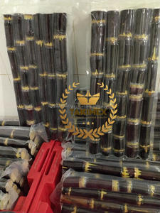 Iqf ชุดสุญญากาศเก็บน้ำแช่แข็งและปอกเปลือกขนาดมาตรฐานผลิตจากเวียดนามสำหรับการส่งออก - Product Image 6