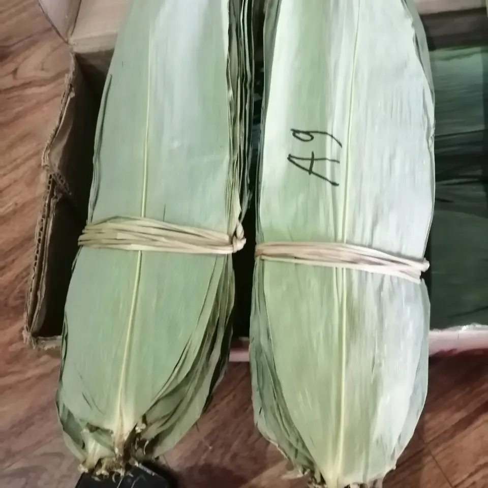 Feuilles de bambou de grande taille de haute qualité pour le marché de Taiwan, feuille de bambou du Vietnam meilleur prix, feuille de bambou de grande taille