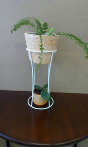 Support de plante suspendu en fer pour intérieur, idéal pour les appartements, créant des solutions d'affichage vertical de verdure qui permettent de gagner de la place - Product Image 4