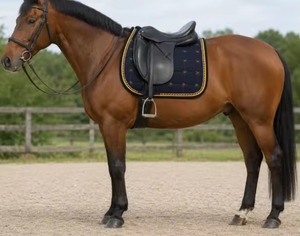 Vente en gros de tapis de selle personnalisés écologiques 100% coton de haute qualité pour l'équitation - Product Image 5