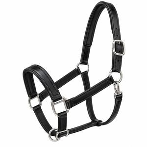 Harnais pour cheval pour l'écurie et l'entraînement, harnais classique en cuir, design de logo personnalisé, course d'endurance, équitation - Product Image 5