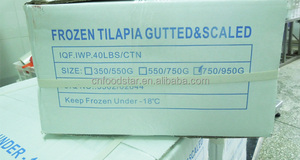 ปลาทิลาเปียแช่แข็งคุณภาพสูง ขายส่งจำนวนมาก <span class=keywords><strong>ราคา</strong></span>โรงงาน - Product Image 5