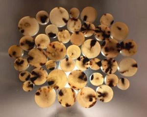 Boutons en agate naturelle de qualité supérieure, en corne de buffle, style animal sculpté, avec fonction imperméable - Product Image 1