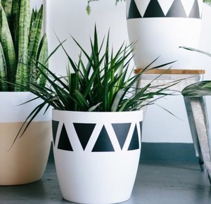 Maceta de Cerámica Hecha a Mano con Acabado Verde Mate, Duradera, para Interiores, para Suculentas, Decoración Moderna y Minimalista para el Hogar - Product Image 6