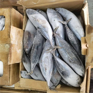 Thon Skipjack Congelé de Qualité Supérieure en Gros, Exportation en Vrac, Qualité Alimentaire, Stock Prêt, Meilleure Qualité, Approvisionnement - Product Image 4