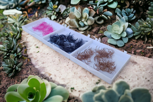 ขนตาปลอม8-15มม. สำหรับต่อขนตาปลอมฐานโปรมิกซ์และหนังสือขนตาแคบออกแบบโลโก้ได้ตามต้องการ - Product Image 3