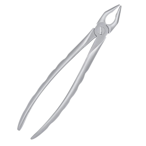 Pinzas de Extracción Atraumática para Incisivos Superiores Apicales, de Acero Inoxidable, Instrumento Quirúrgico Dental para Extracción de Dientes, Cirugía Oral - Product Image 3
