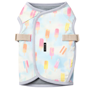 เสื้อกั๊กระบายความร้อนสำหรับสุนัขแบบ Popsicles น้ำหนักเบา ระบายอากาศได้ดี เสื้อกั๊กสำหรับสัตว์เลี้ยงในฤดูร้อน พร้อมสายรัดปรับได้ สำหรับสุนัขขนาดเล็ก กลาง และใหญ่ - Product Image 6