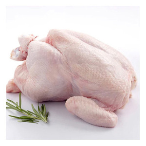 Pollo Congelado Fresco Entero y en Piezas, Calidad Premium, Halal, Pollo Entero Congelado Limpio en Venta - Product Image 5