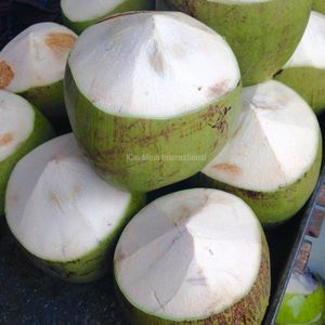 Coco Verde Fresco de Primera Calidad para Exportación con Agua de Coco Dulce - Product Image 3