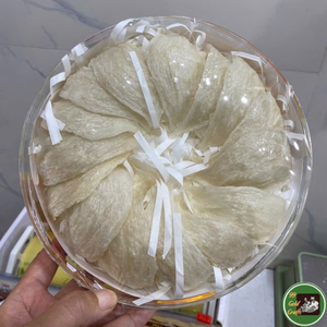 Nido de Pájaro Comestible Hecho con Material Natural de Nido de Golondrina Seco para Preparación de Sopas y Postres 99 Dold Data de Vietnam - Product Image 2