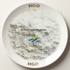 Suministro Directo de Fábrica HGO de Extracto de Té Puro Natural (Camellia sinensis) Grado Alimenticio L-Teanina 10% Extracto Estandarizado - Product Image 1